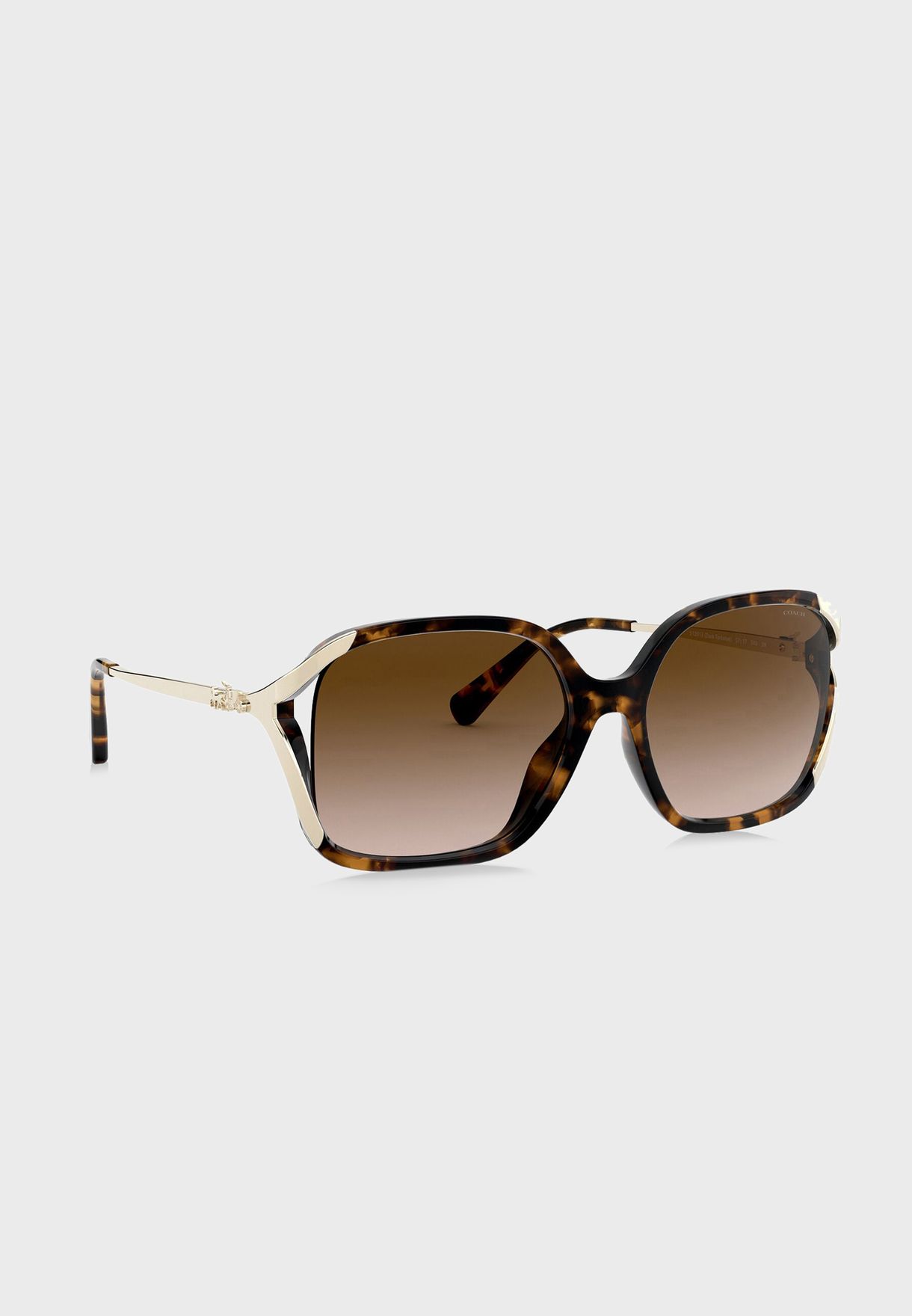 0HC8280U Oversized Sunglasses