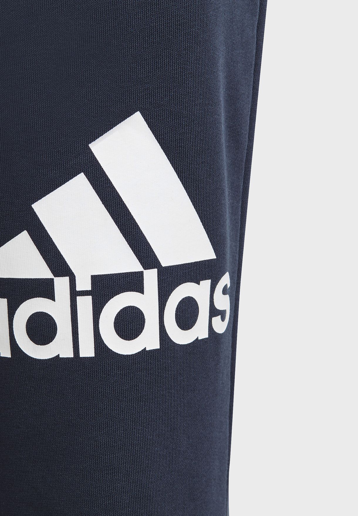 Kids Big Logo Sweatpants