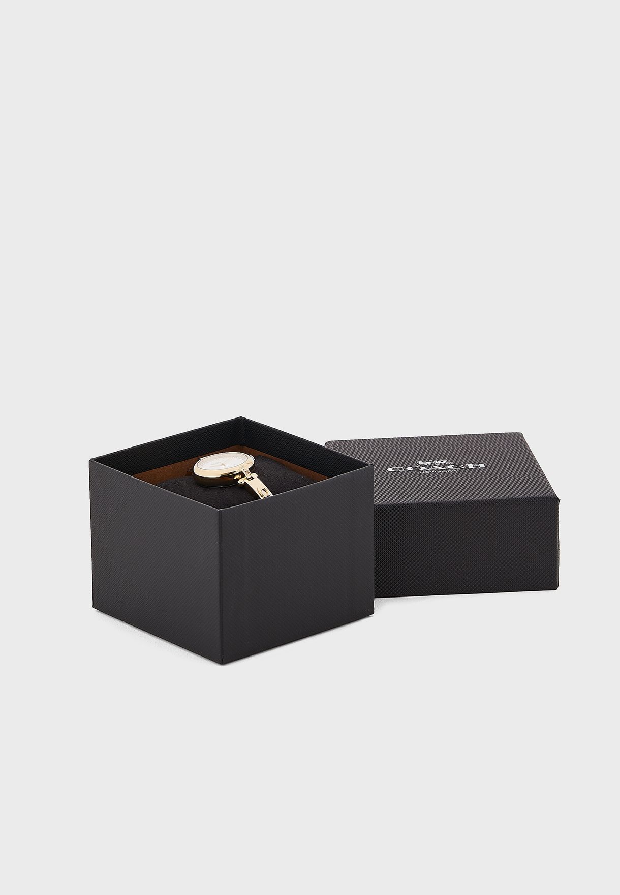 Cary Steel Strap Analog Watch