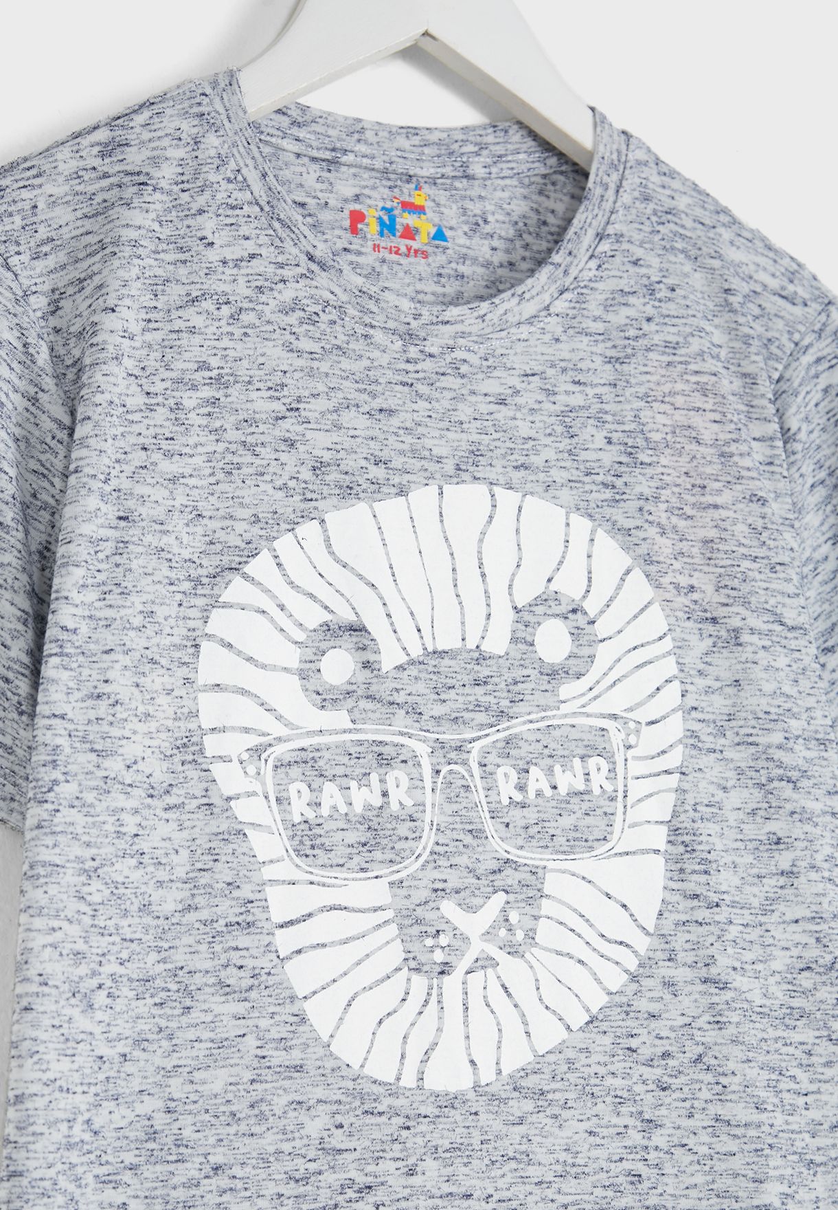 Graphic Printed T-Shirt