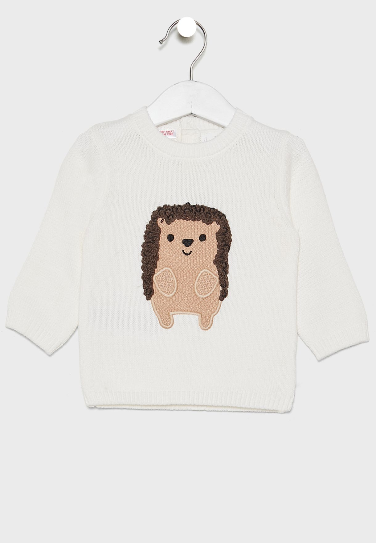 hedgehog in a sweater