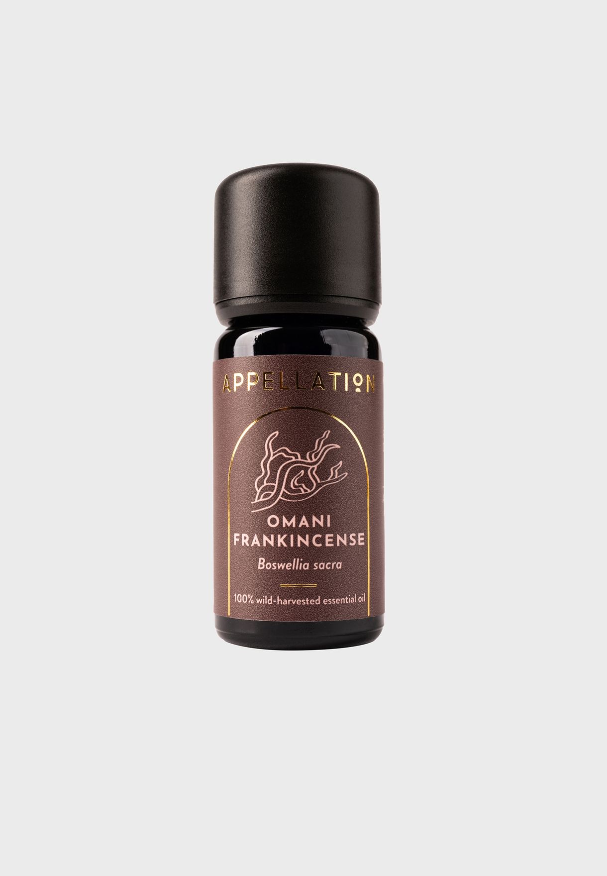 Omani Frankincense Essential Oil