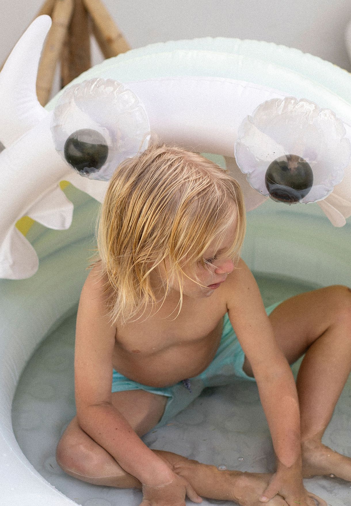 Monty The Monster Kiddy Inflatable Pool