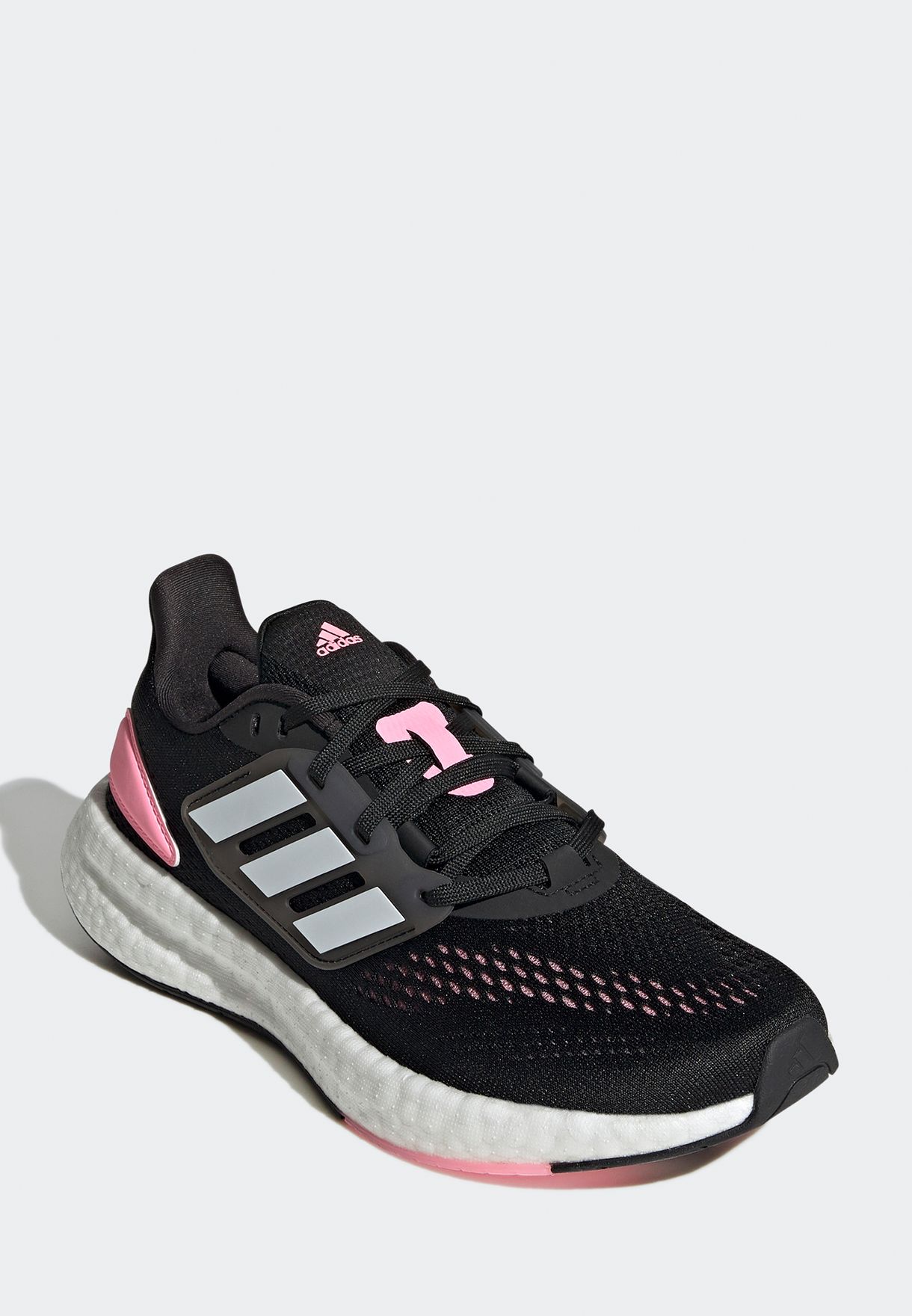Pureboost 22