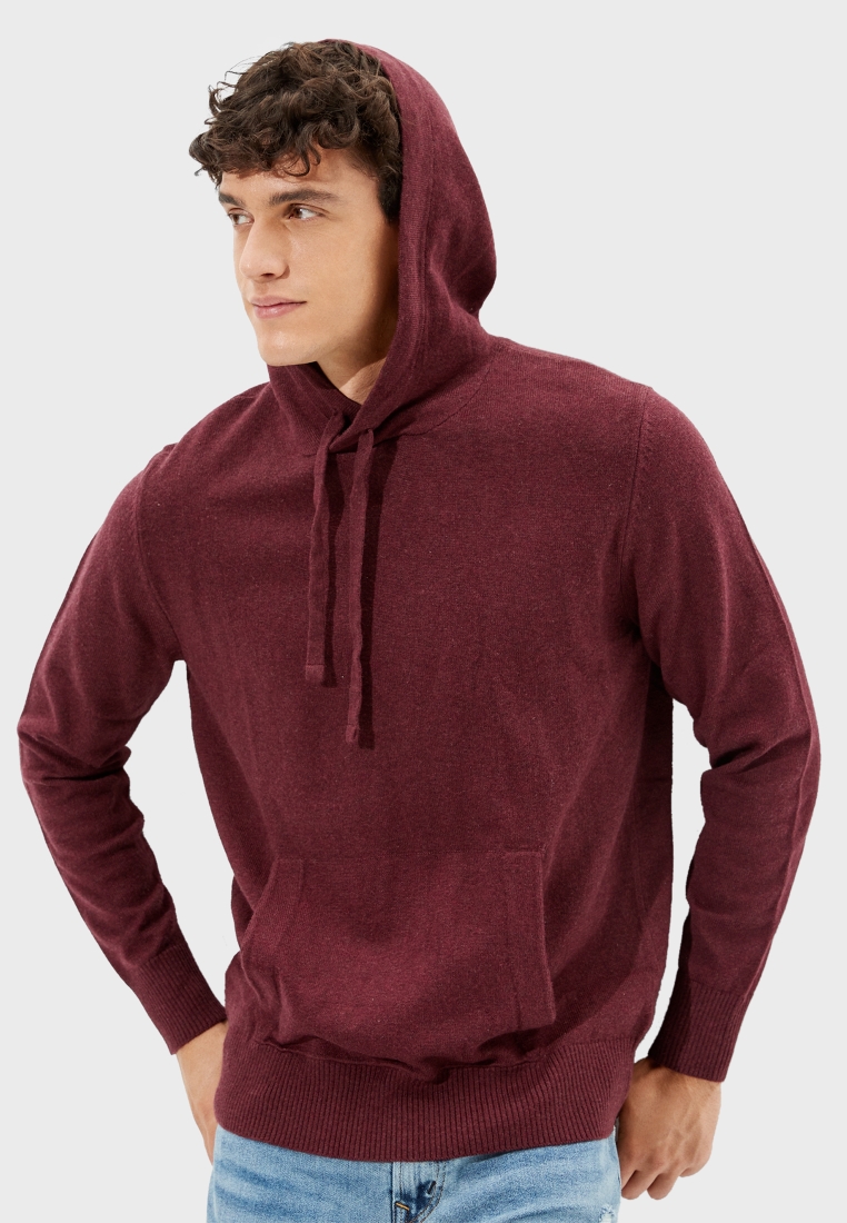 burgundy american eagle hoodie