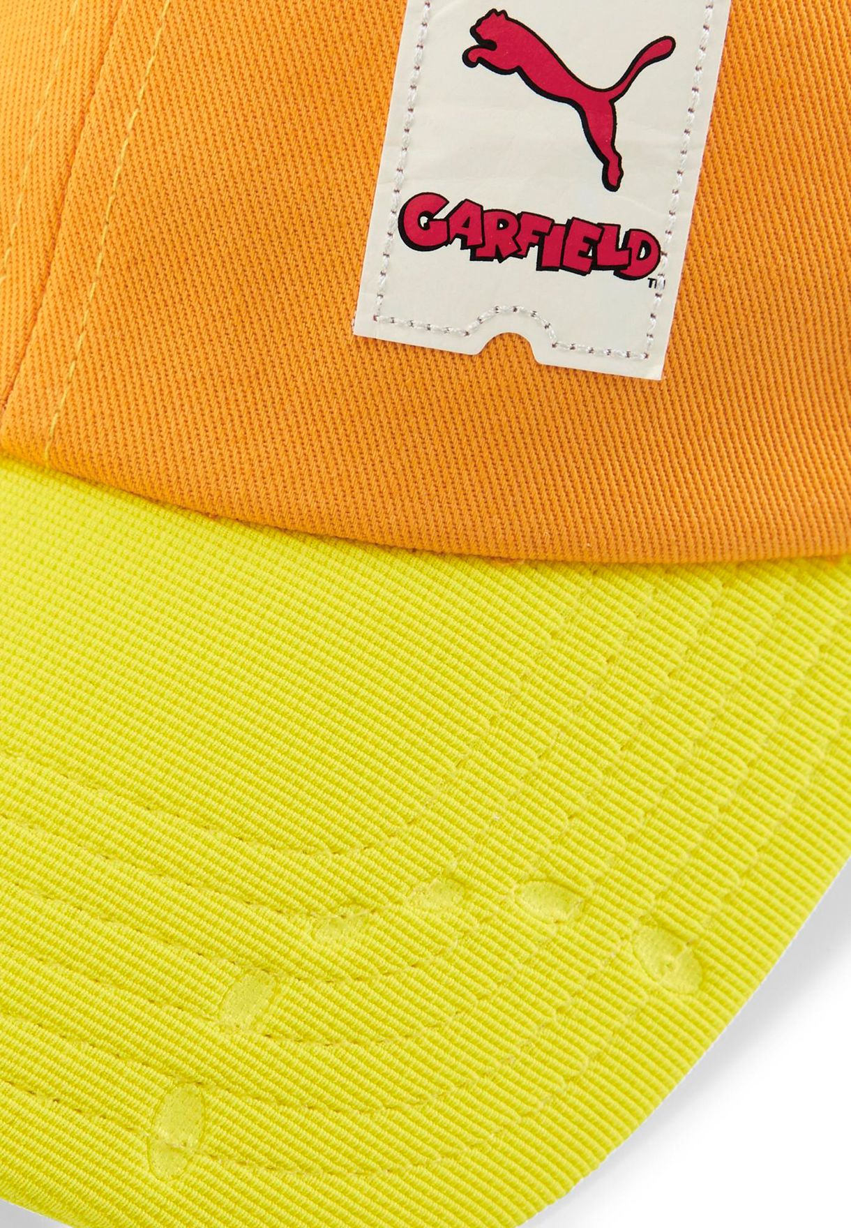 Garfield Baseball Cap