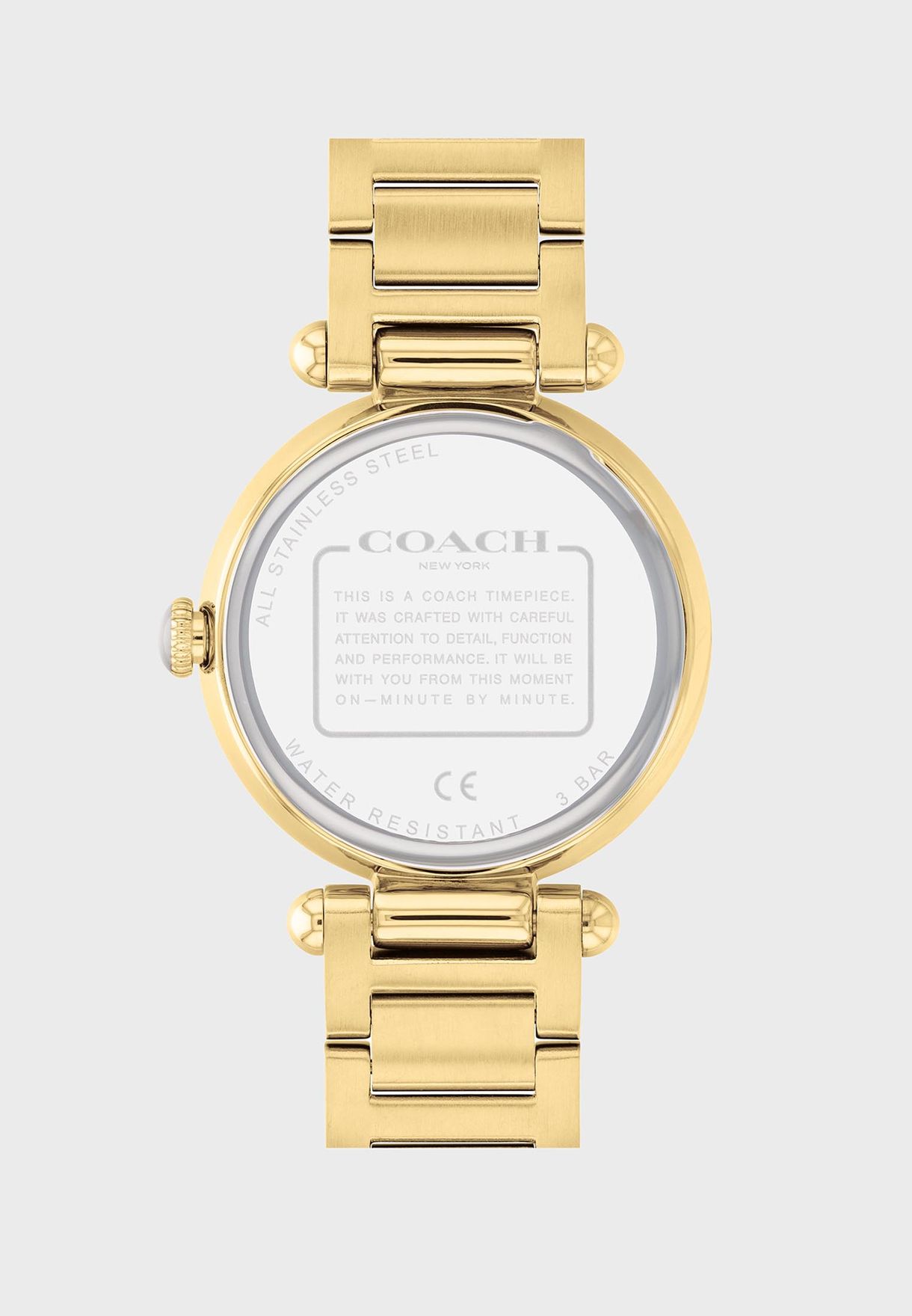 Cary Analog Watch