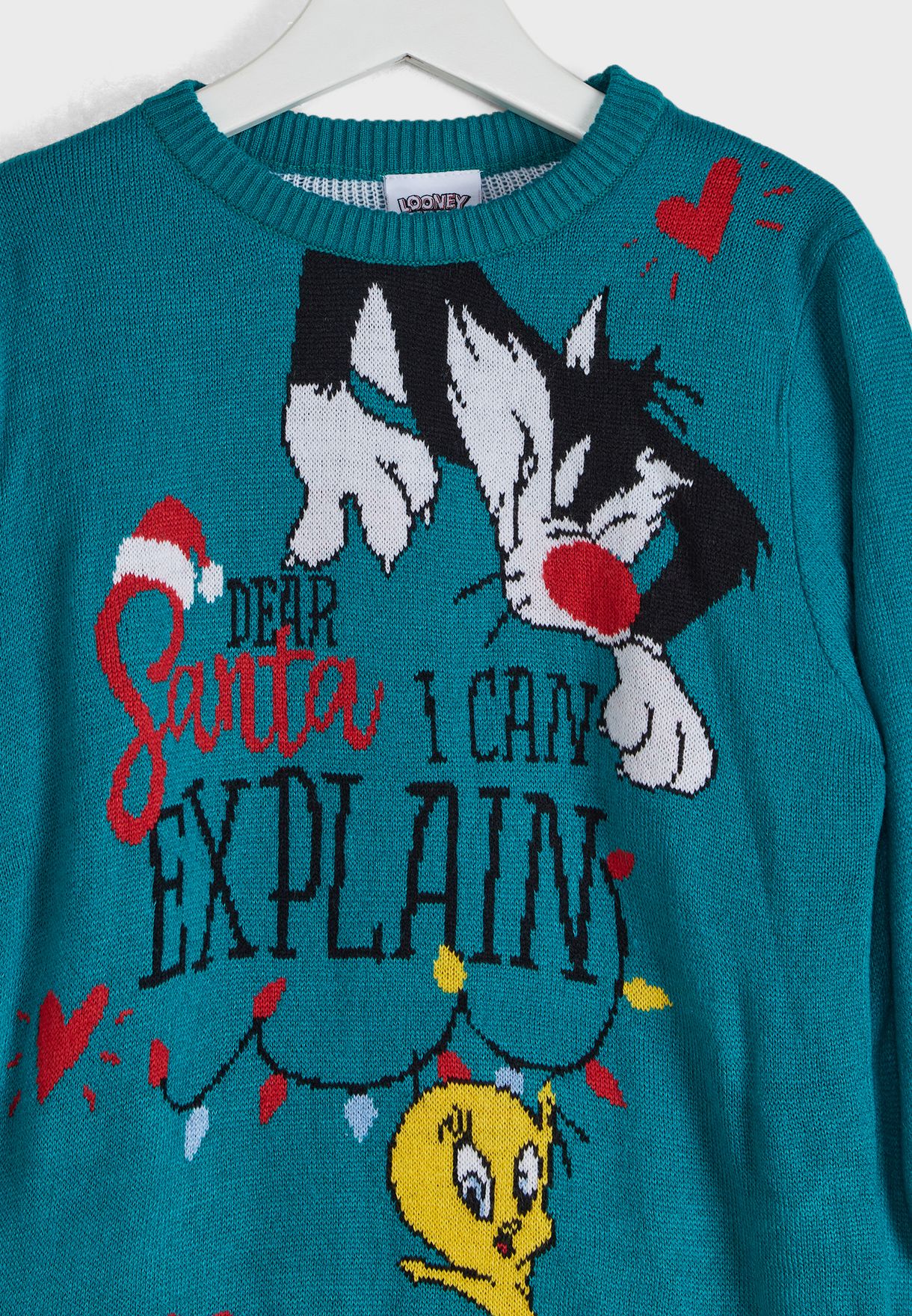Kids Looney Tune Christmas Sweater