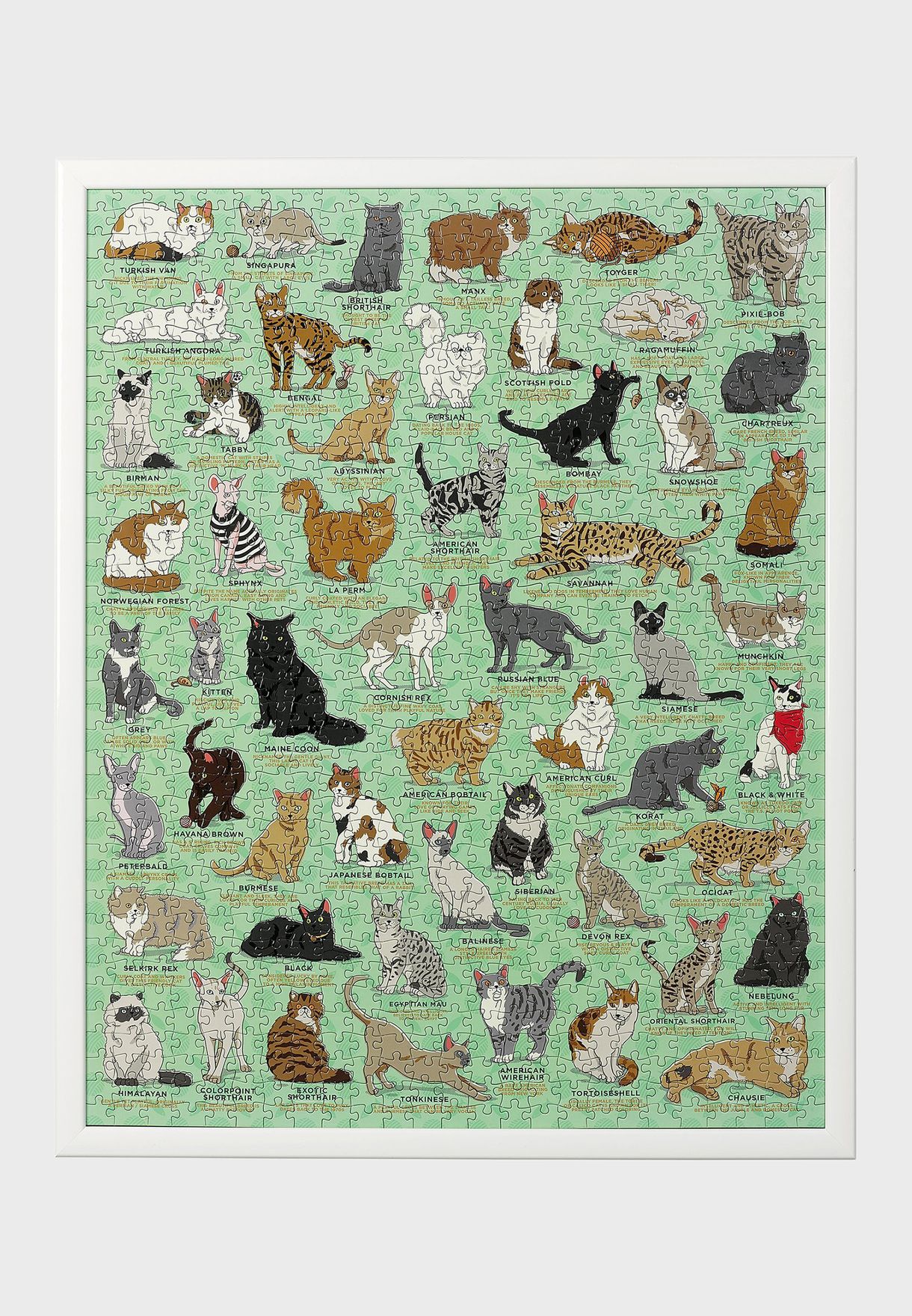 1000 Piece Cat Lovers Jigsaw Puzzle 