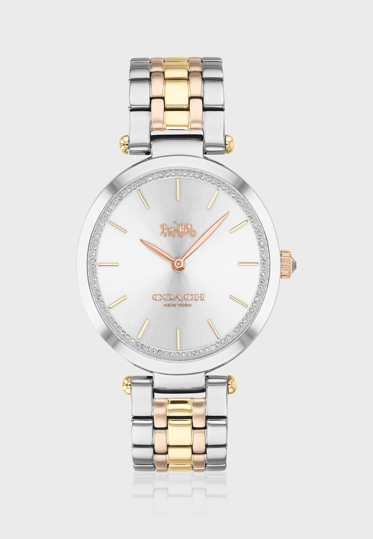Stainless Steel Park Analog Watch