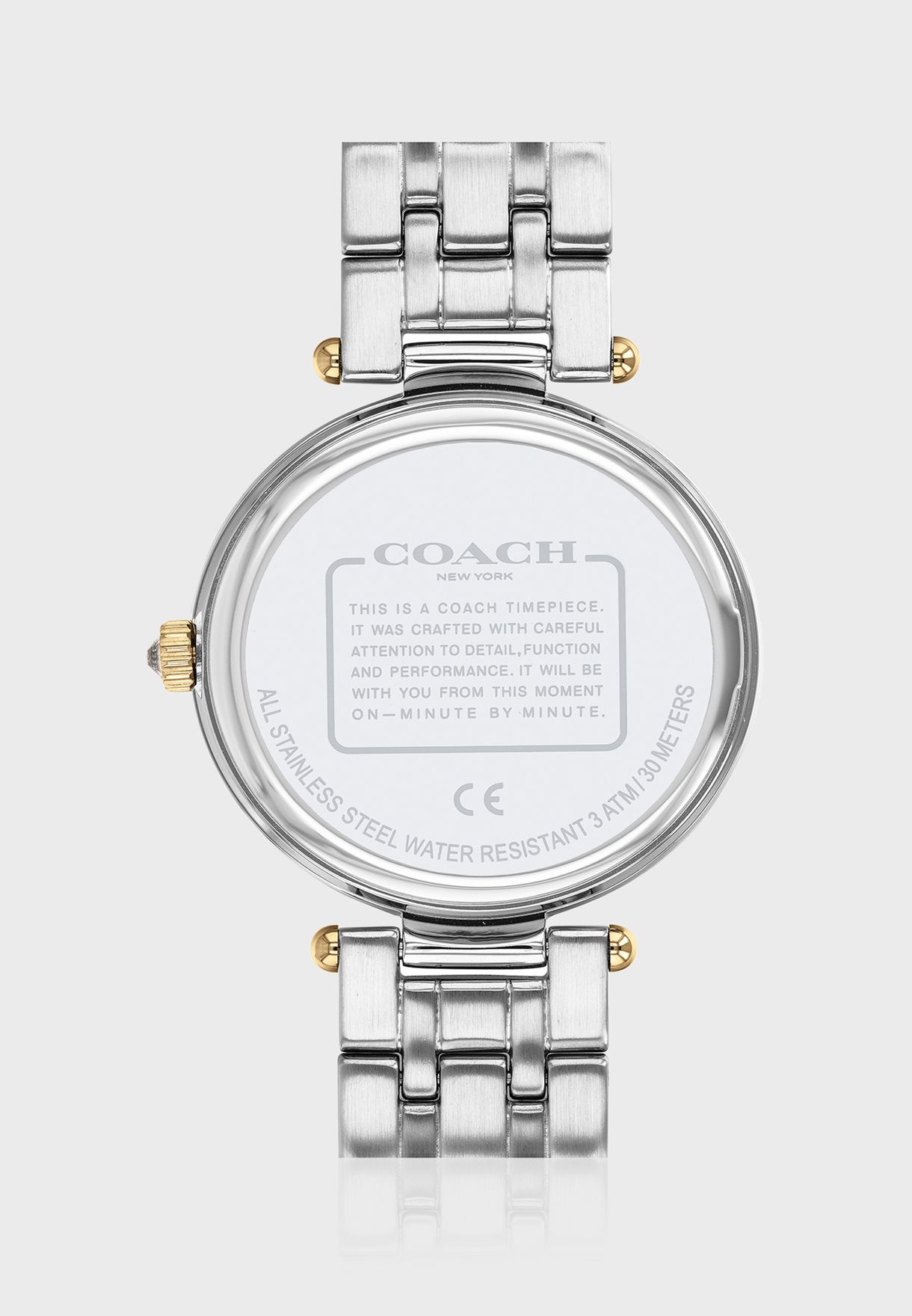 Stainless Steel Park Analog Watch