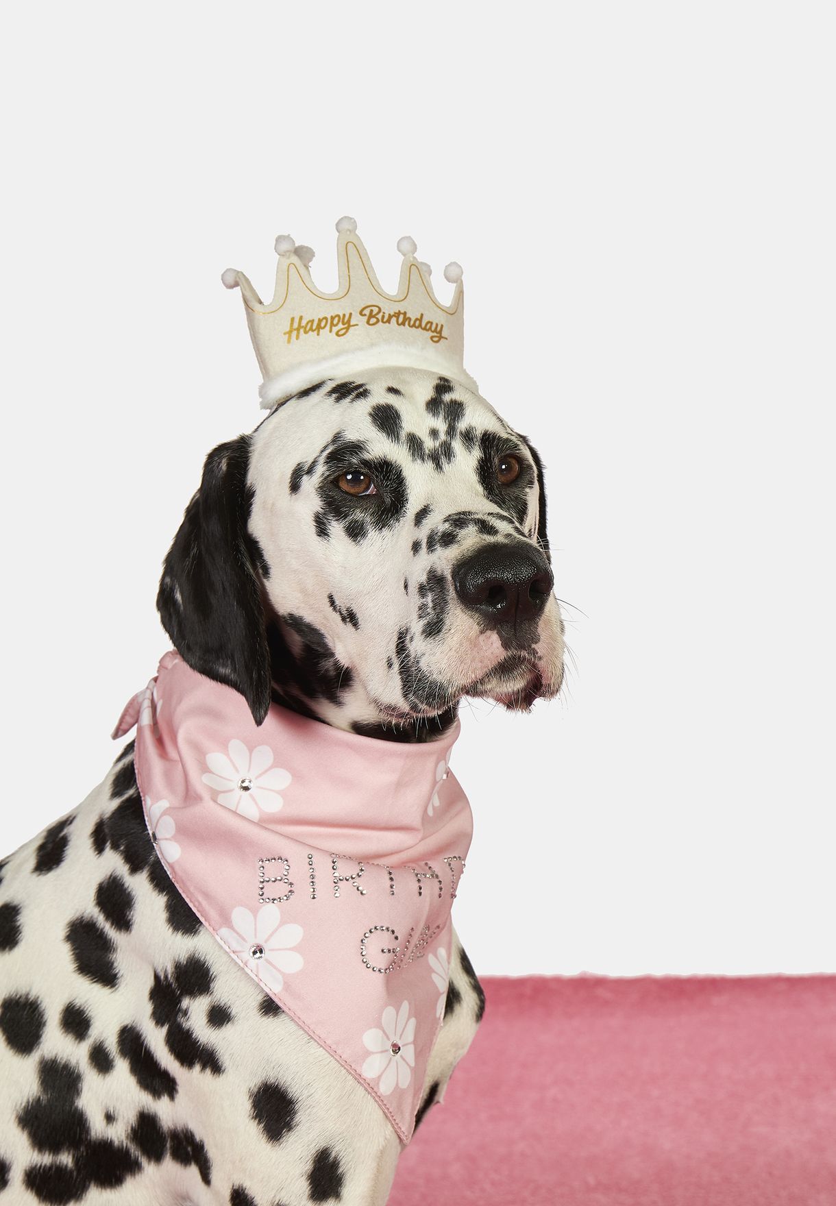 Happy Birthday Pet Crown