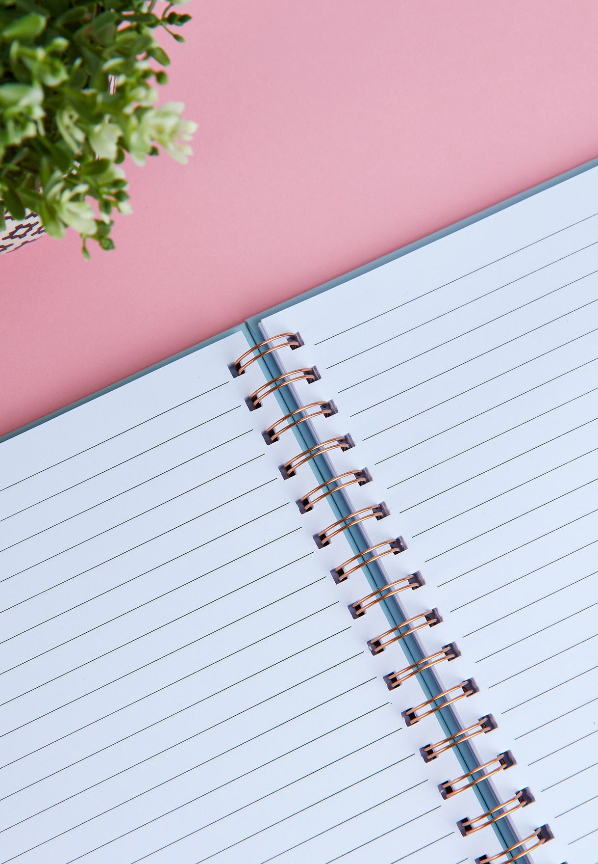 A4 Trust Your Instincts Notebook