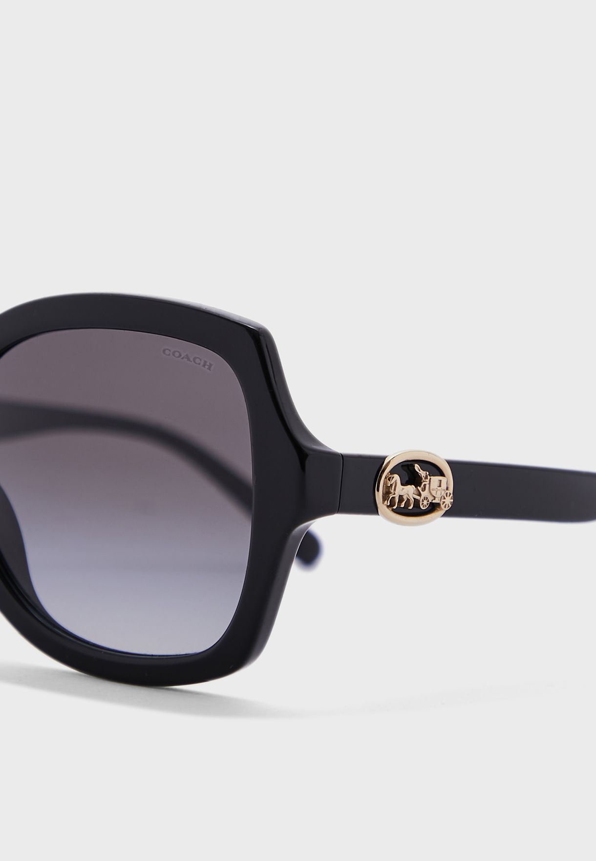 0Hc8295 Oversized Sunglasses