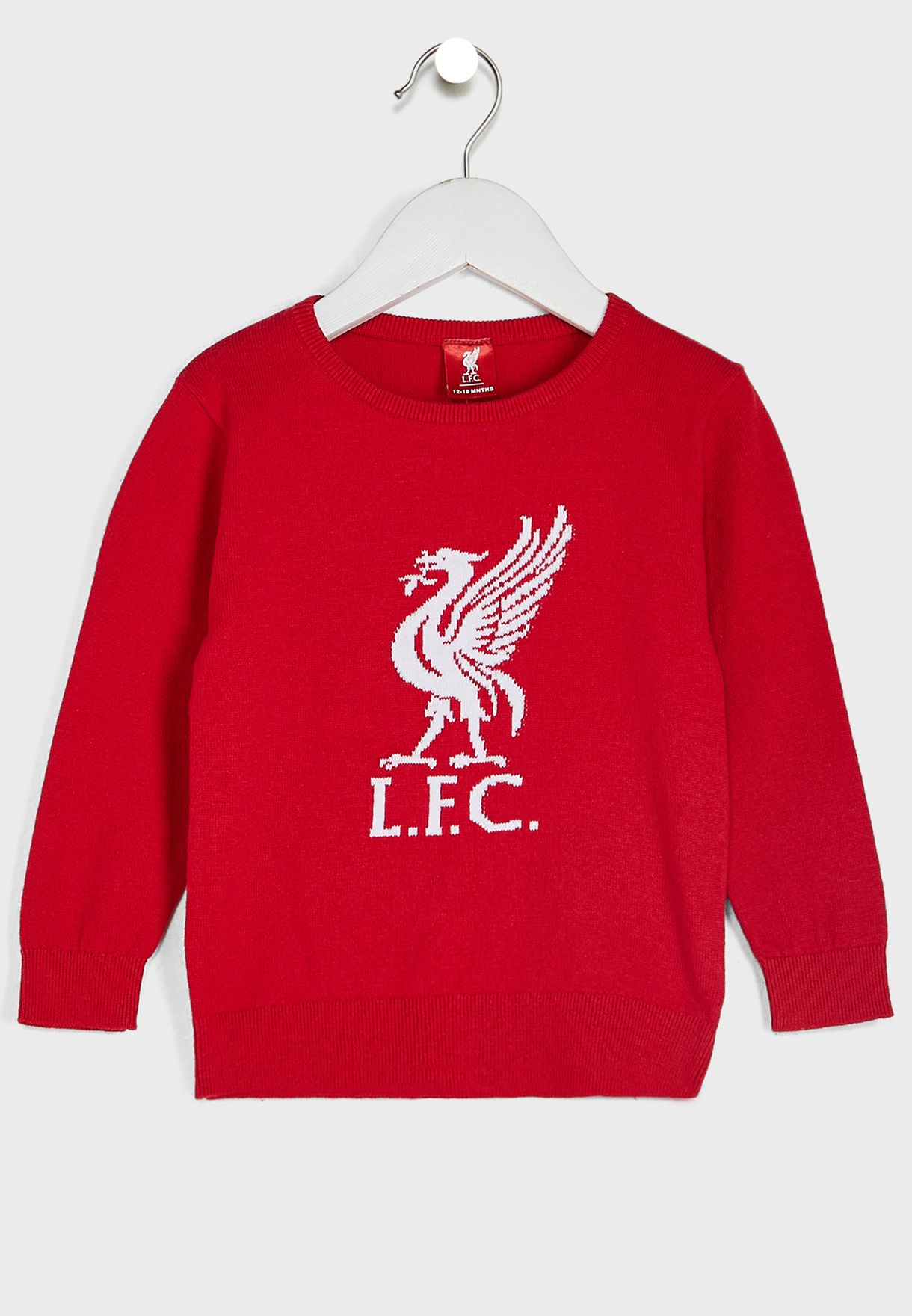 Buy Liverpool FC red Infant Liverpool Liverbird Jumper for Kids in ...