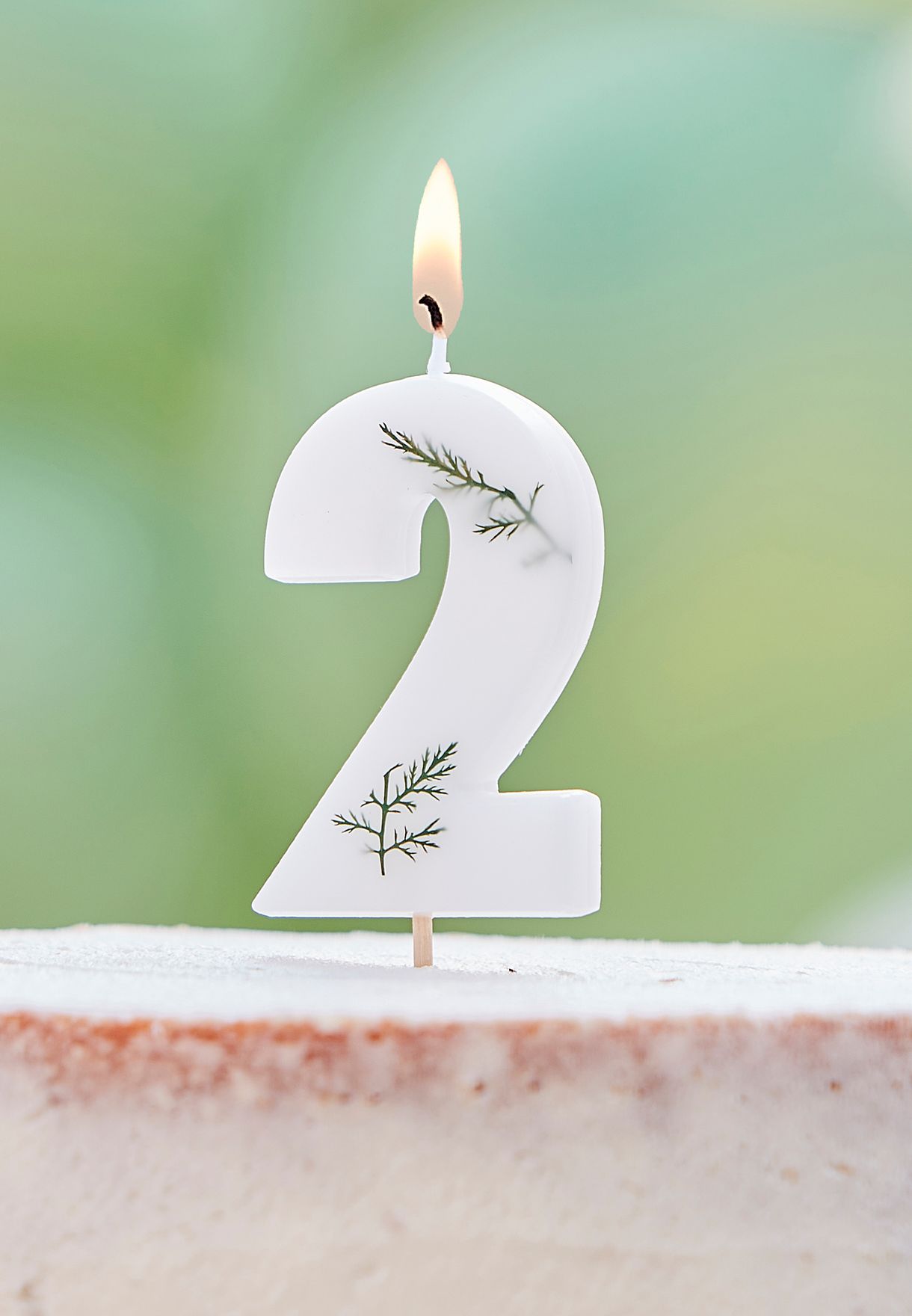 Pressed Foliage Candle - Number 2