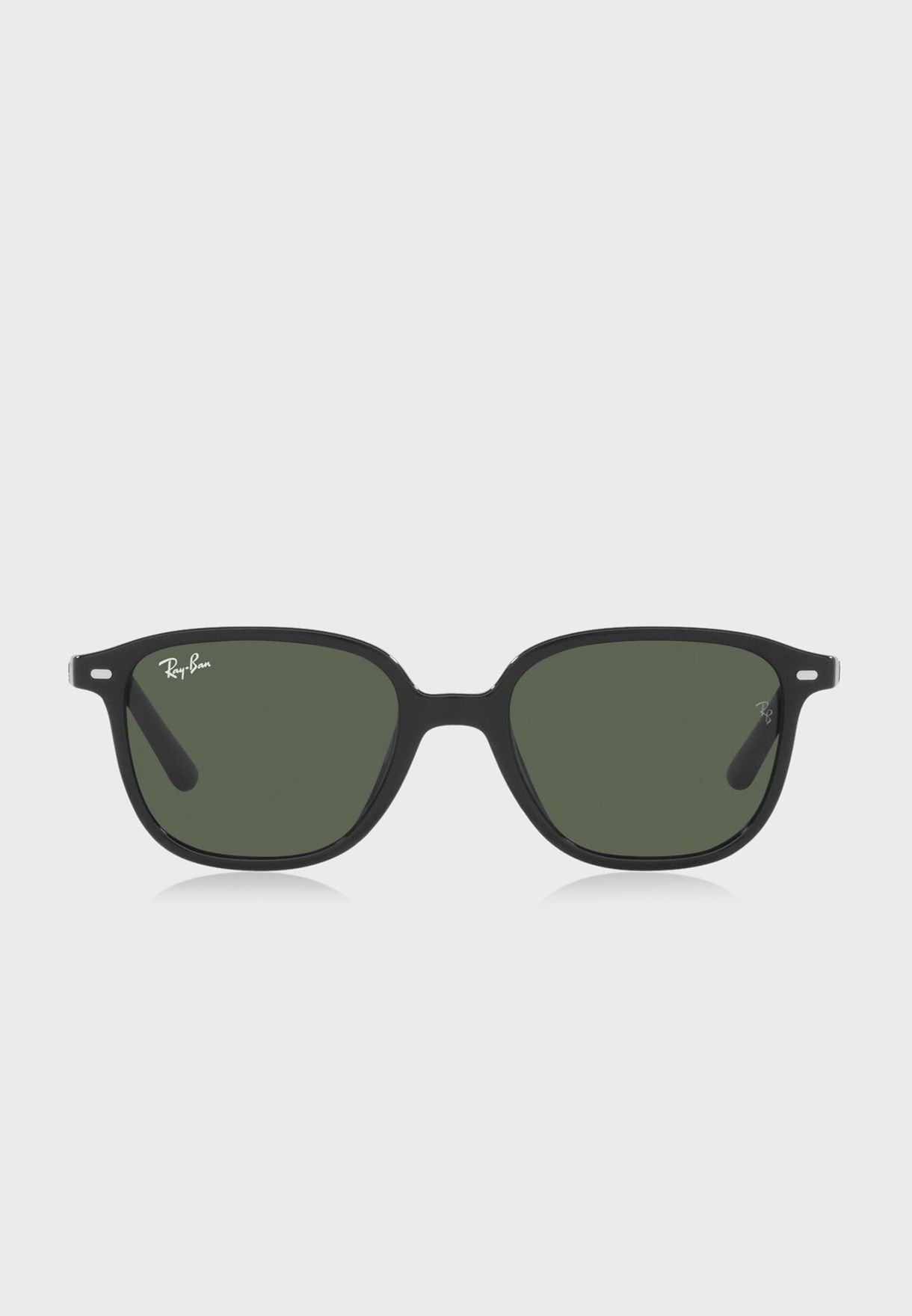 0Rj9093S Wayfarers Sunglasses