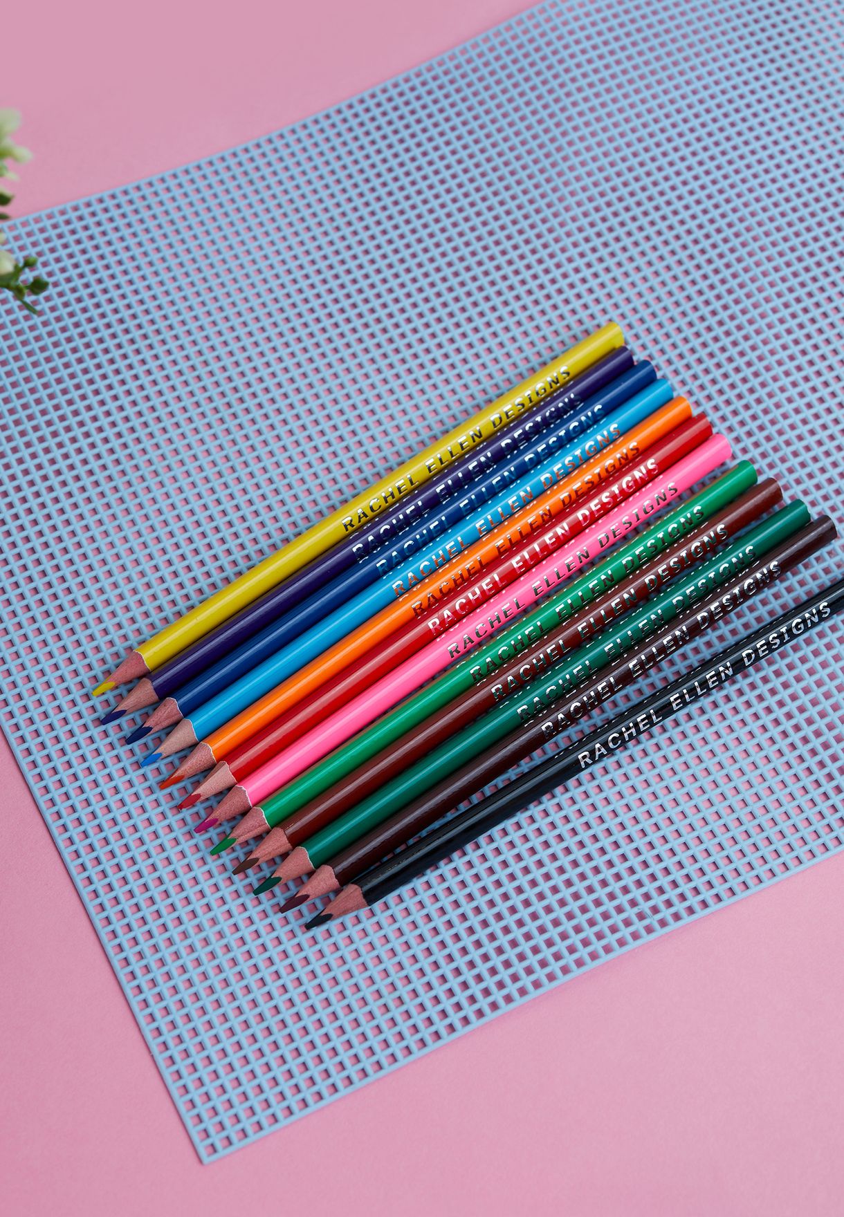 Unicorns Coloured Pencil Set