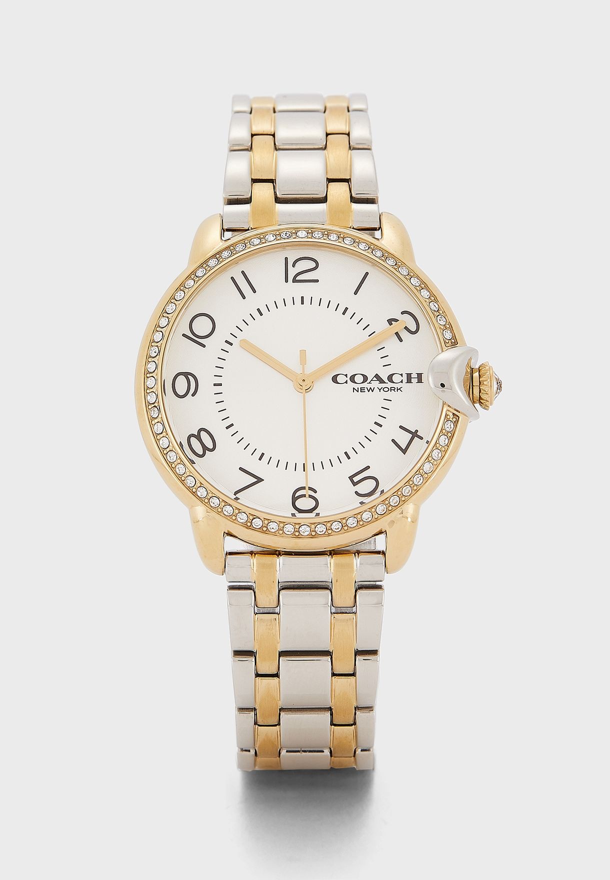 Arden Analog Watch