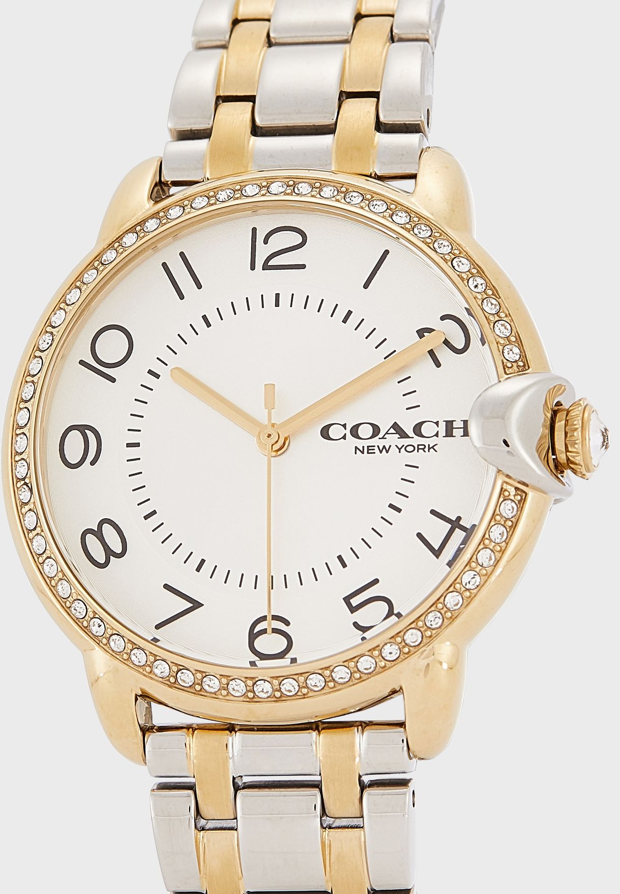 Arden Analog Watch