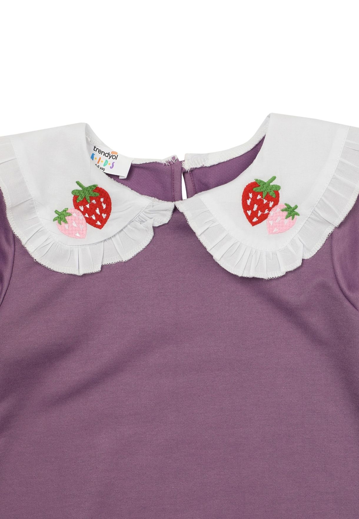 Kids Embroidered Strawberry Collar Dress